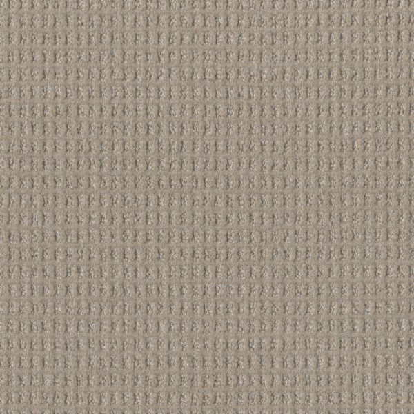 DreamWeaver PERFECT BALANCE - 2233 Pearly Lace