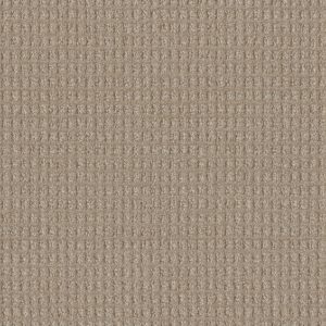 DreamWeaver PERFECT BALANCE - 2586 Light Wheat