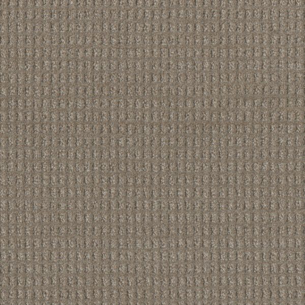 DreamWeaver PERFECT BALANCE - 2732 Warm Putty