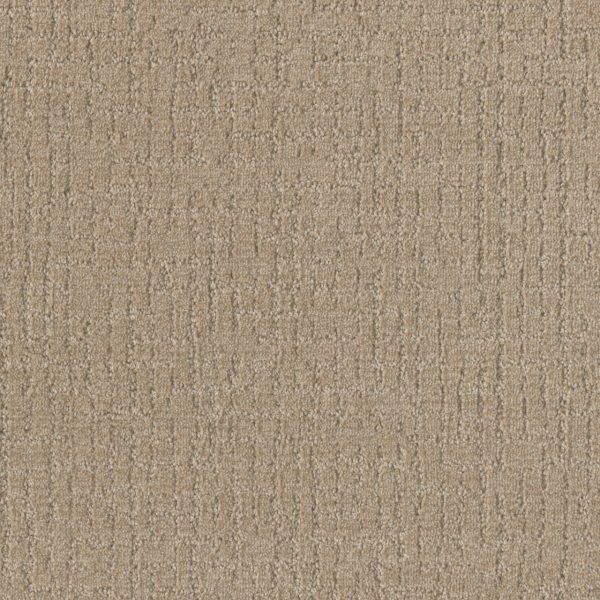 DreamWeaver NATURAL ATTRACTION - 2586 Light Wheat
