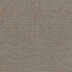 DreamWeaver NATURAL ATTRACTION - 2732 Warm Putty