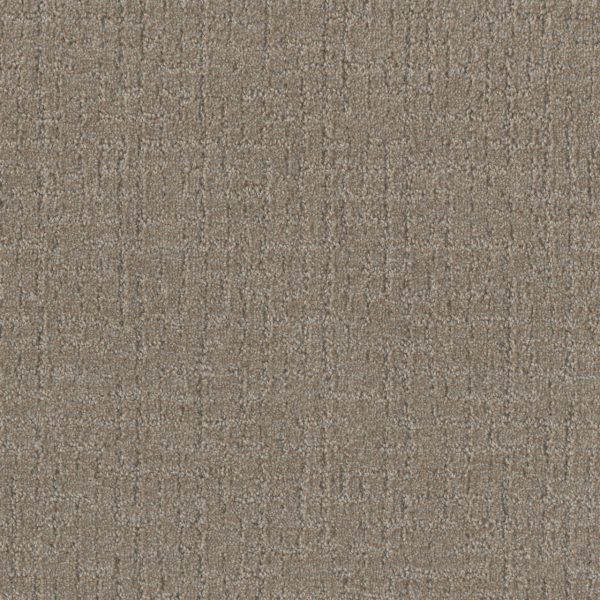 DreamWeaver NATURAL ATTRACTION - 2732 Warm Putty