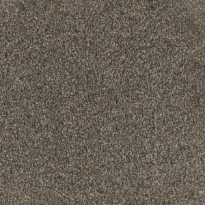 DreamWeaver TRENDSETTER I - 134 Imperial Sable