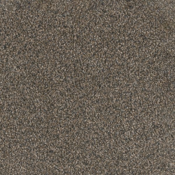 DreamWeaver TRENDSETTER I - 134 Imperial Sable