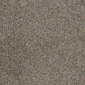 DreamWeaver TRENDSETTER I - 247 Twig