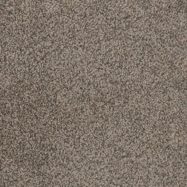 DreamWeaver TRENDSETTER I - 247 Twig