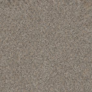 DreamWeaver TRENDSETTER I - 262 Glimmer