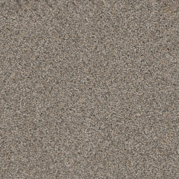 DreamWeaver TRENDSETTER I - 262 Glimmer