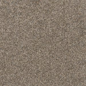 DreamWeaver TRENDSETTER I - 359 Oxford Stone