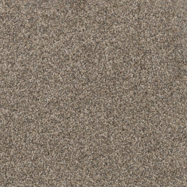 DreamWeaver TRENDSETTER I - 359 Oxford Stone