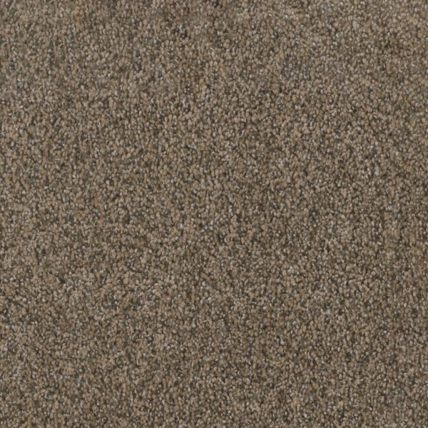 DreamWeaver TRENDSETTER I - 381 Smokey Taupe