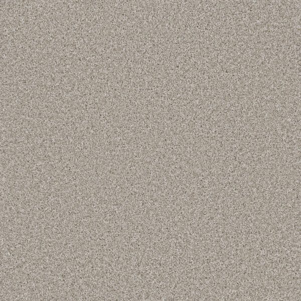 DreamWeaver TRENDSETTER I - 486 Porcelain