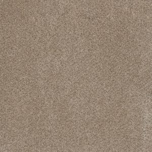 DreamWeaver TRENDSETTER I - 720 Oxford