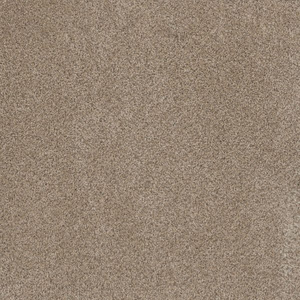 DreamWeaver TRENDSETTER I - 720 Oxford