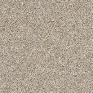 DreamWeaver TRENDSETTER I - 758 Seashells