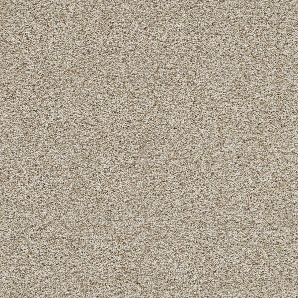 DreamWeaver TRENDSETTER I - 758 Seashells