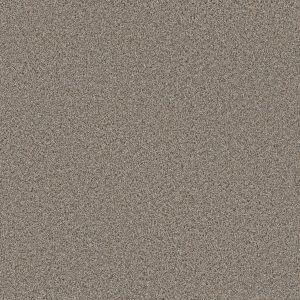 DreamWeaver TRENDSETTER I - 815 Iron Frost