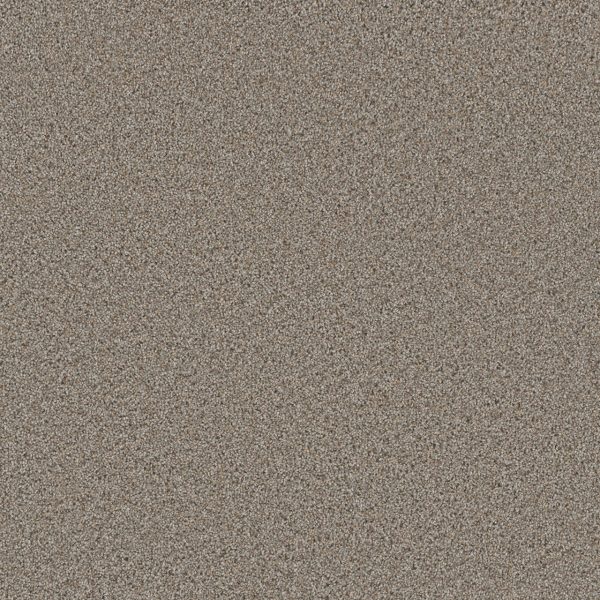 DreamWeaver TRENDSETTER I - 815 Iron Frost