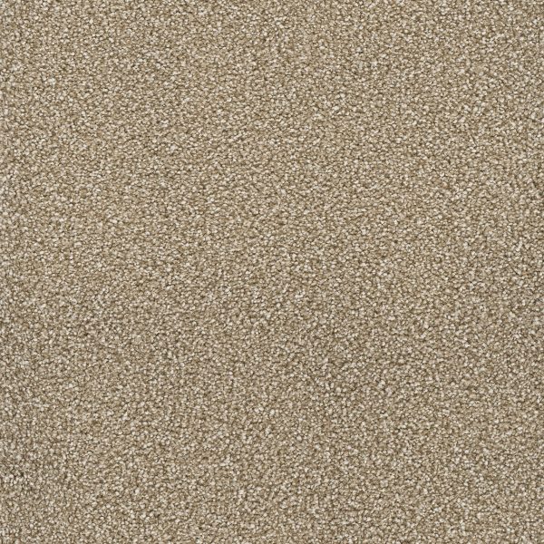 DreamWeaver STAR STRUCK - 725 Quail