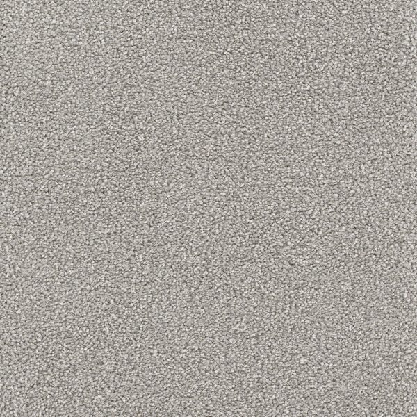 DreamWeaver STAR STRUCK - 800 Dove