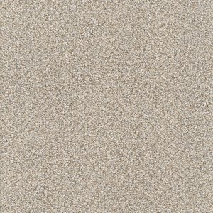 DreamWeaver STAR STRUCK - 815 Iron Frost