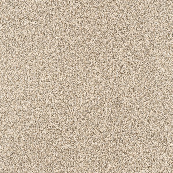 DreamWeaver STAR STRUCK - 824 Linen