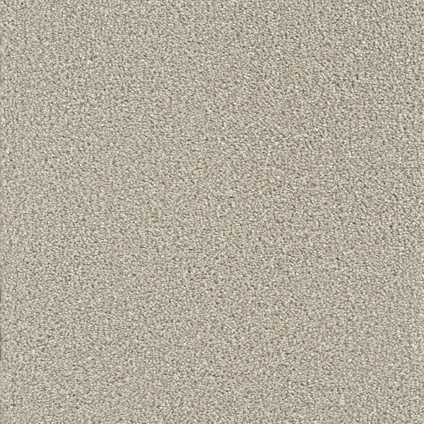 DreamWeaver STAR STRUCK - 830 Silver Lining