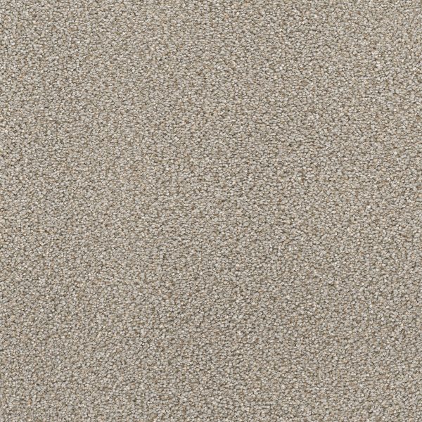 DreamWeaver STAR STRUCK - 945 Ash