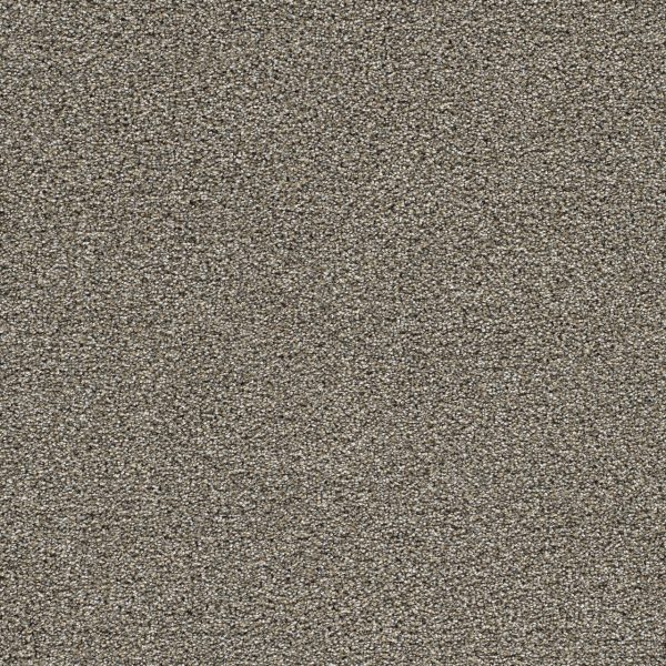 DreamWeaver GOLD STANDARD I - 2316 Pewter