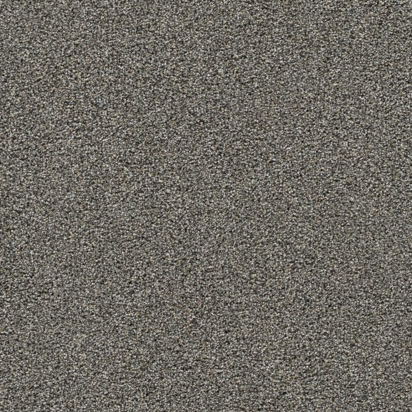 DreamWeaver GOLD STANDARD II - 2330 Graphite