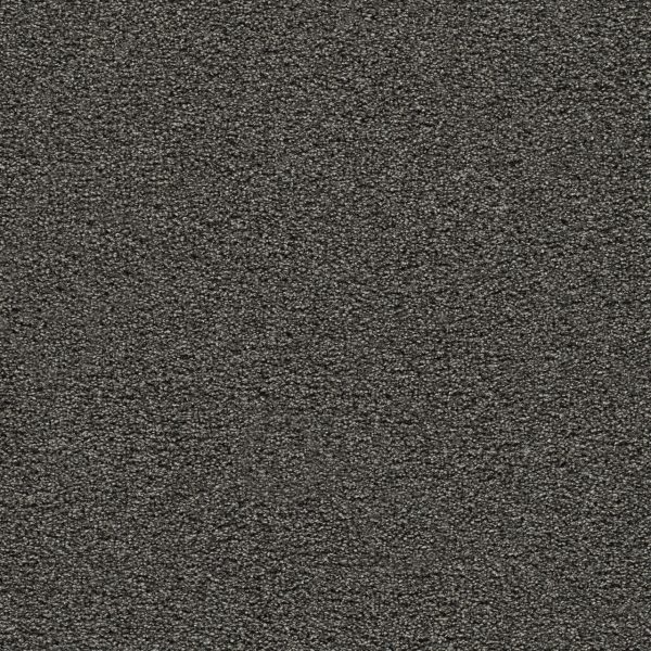 DreamWeaver GOLD STANDARD II - 2875 Onyx