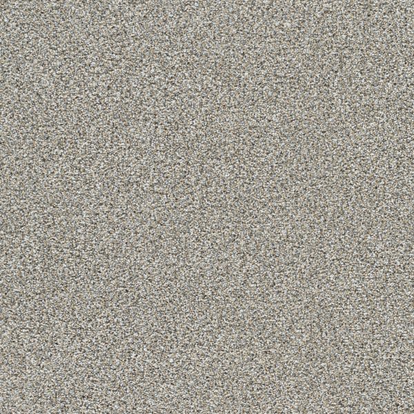 DreamWeaver LUCKY PENNY III - 2499 Burnished