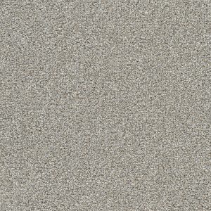 DreamWeaver LUCKY PENNY I - 2499 Burnished