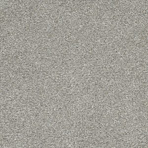 DreamWeaver LUCKY PENNY I - 2591 Frost