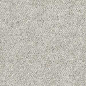 DreamWeaver LUCKY PENNY II - 4196 Vera Cruz