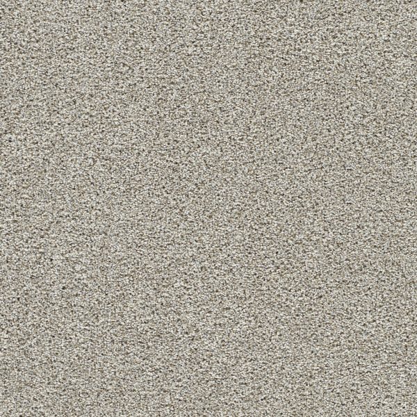 DreamWeaver LUCKY PENNY III - 4878 Pine Cone