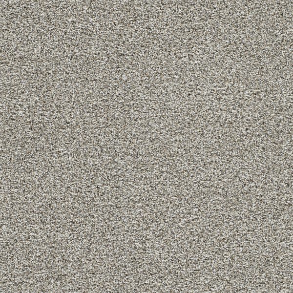 DreamWeaver LUCKY PENNY III - 4998 Elite