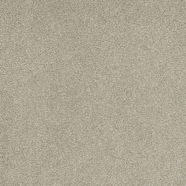 DreamWeaver ROCK SOLID III - 580 Cream