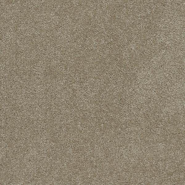 DreamWeaver ROCK SOLID I - 720 Buff