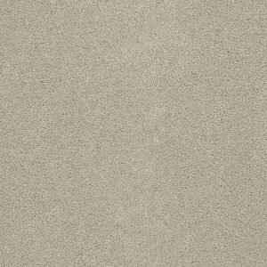 DreamWeaver ROCK SOLID I - 730 Ivory