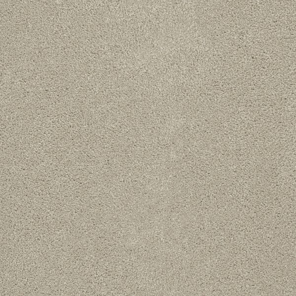 DreamWeaver ROCK SOLID II - 730 Ivory