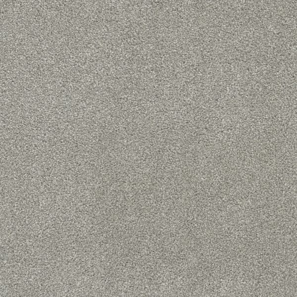 DreamWeaver ROCK SOLID II - 800 Dove