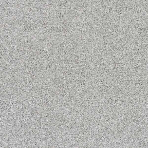 DreamWeaver ROCK SOLID II - 813 Morning Dove
