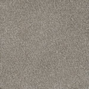 DreamWeaver MILL CREEK I - 2019 Crystal Pearl
