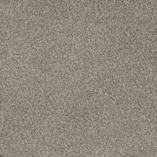 DreamWeaver MILL CREEK I - 2019 Crystal Pearl