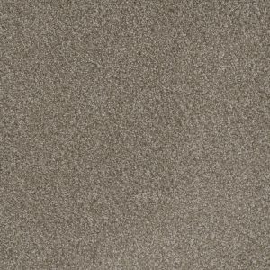 DreamWeaver MILL CREEK I - 2023 Polished Pebble