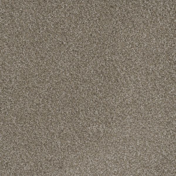 DreamWeaver MILL CREEK I - 2023 Polished Pebble