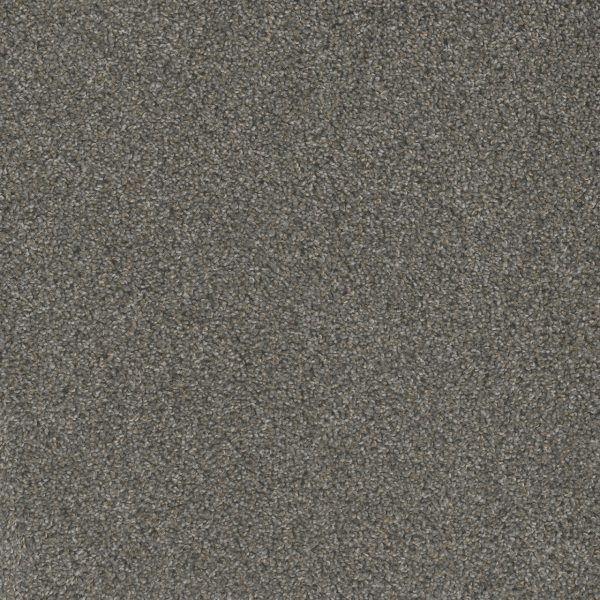DreamWeaver MILL CREEK I - 2027 Rain Shadow