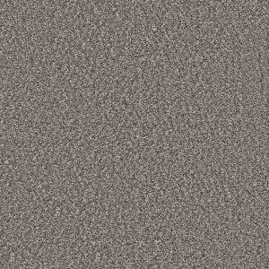 DreamWeaver WINDY CITY II - 6050 Olivewood