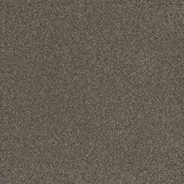 DreamWeaver TITAN II - 150 Woodford